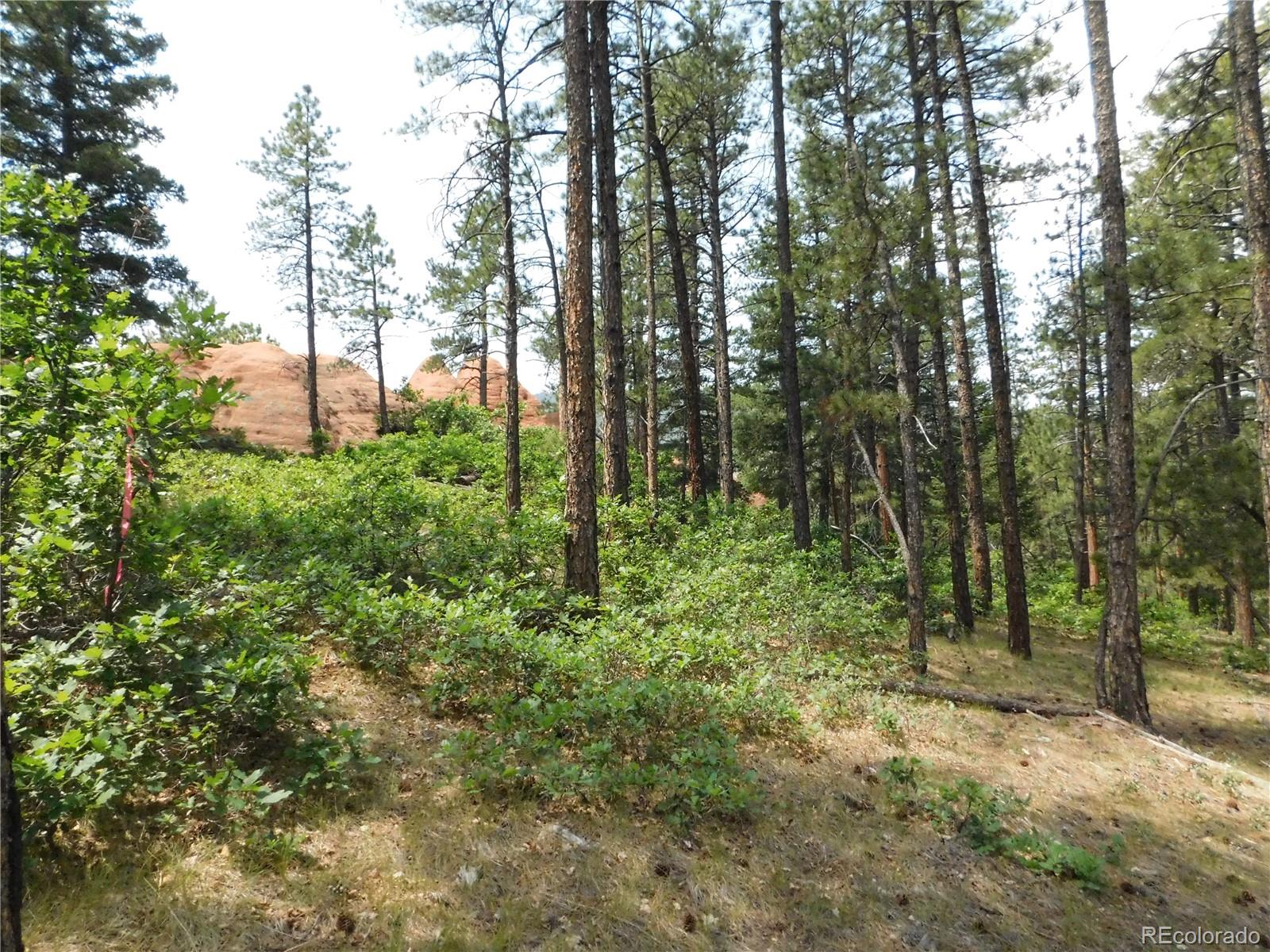 8356 Quivas Road Larkspur, CO 80118 - Photo 2 of 44