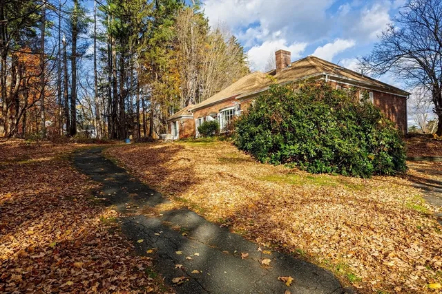 a view of a large tree with lots of trees