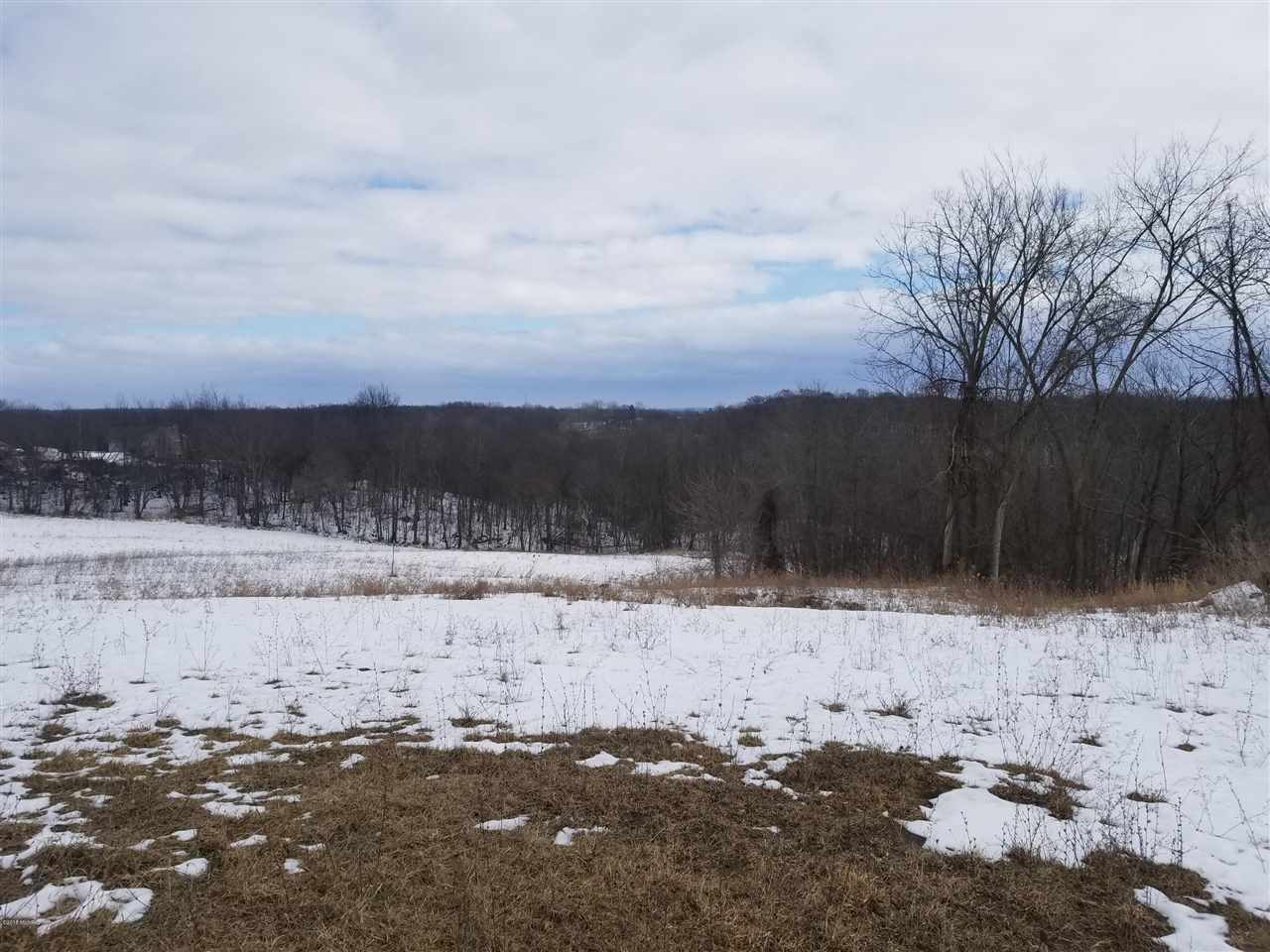 16th Street Hopkins, MI 49328 - Photo 2 of 3