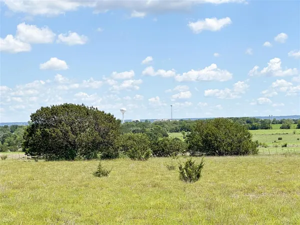 a view of a big yard with plants and large trees