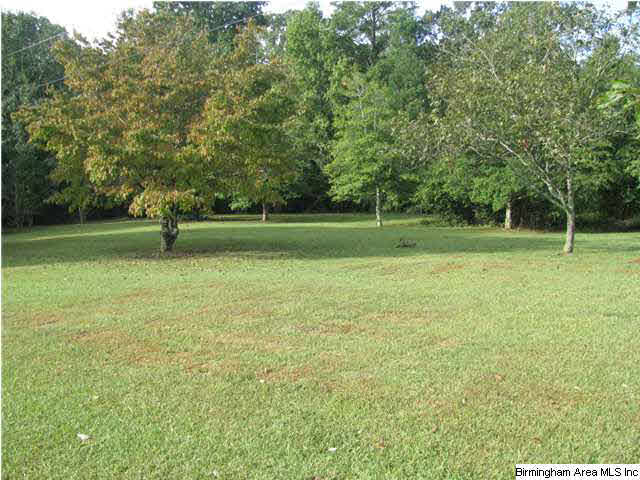 650 Sunset Road Pell City, AL 35128 - Photo 11 of 23