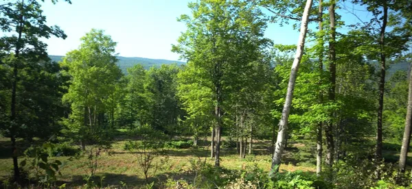 $79,000 | 83-xxx - Lot 12 83-xxx - Road, Bayfield, WI 54814