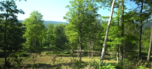 $79,000 | 83-xxx - Lot 12 83-xxx - Road, Bayfield, WI 54814