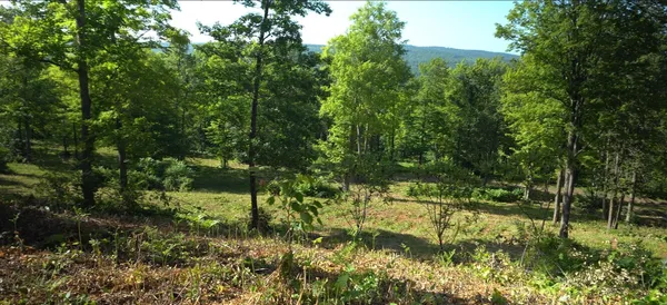 $79,000 | 83-xxx - Lot 12 83-xxx - Road, Bayfield, WI 54814