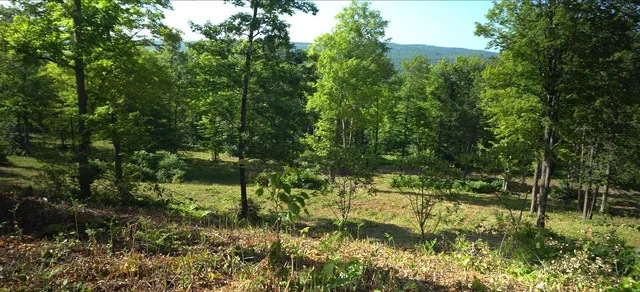 $79,000 | 83-xxx - Lot 12 83-xxx - Road, Bayfield, WI 54814