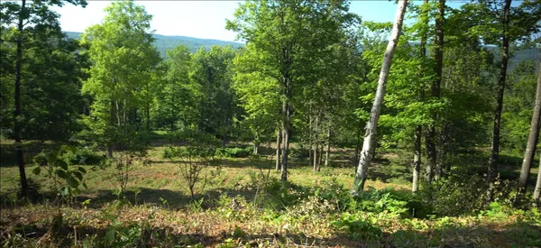 $79,000 | 83-xxx - Lot 12 83-xxx - Road, Bayfield, WI 54814