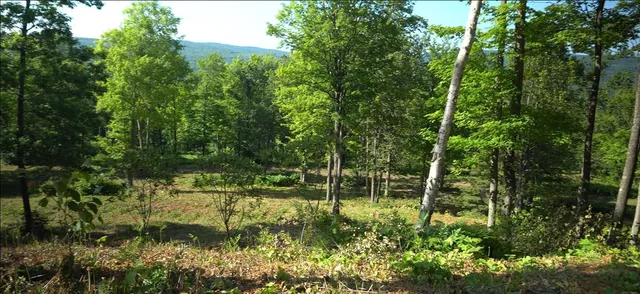 $79,000 | 83-xxx - Lot 12 83-xxx - Road, Bayfield, WI 54814