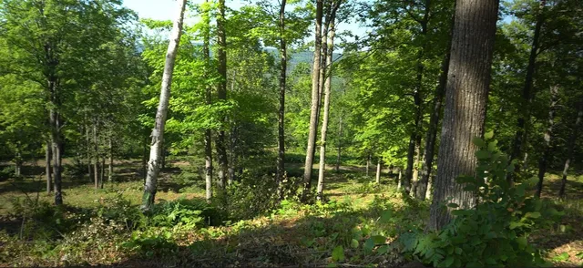 $79,000 | 83-xxx - Lot 12 83-xxx - Road, Bayfield, WI 54814