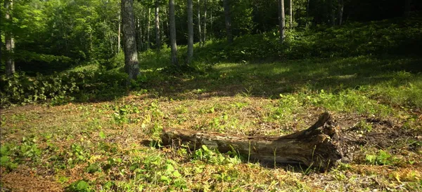 $79,000 | 83-xxx - Lot 12 83-xxx - Road, Bayfield, WI 54814