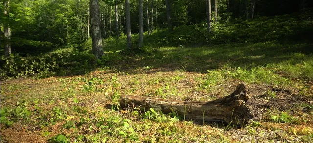 $79,000 | 83-xxx - Lot 12 83-xxx - Road, Bayfield, WI 54814