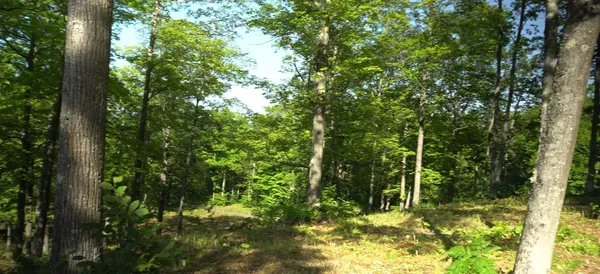 $79,000 | 83-xxx - Lot 12 83-xxx - Road, Bayfield, WI 54814