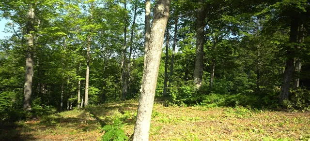 $79,000 | 83-xxx - Lot 12 83-xxx - Road, Bayfield, WI 54814