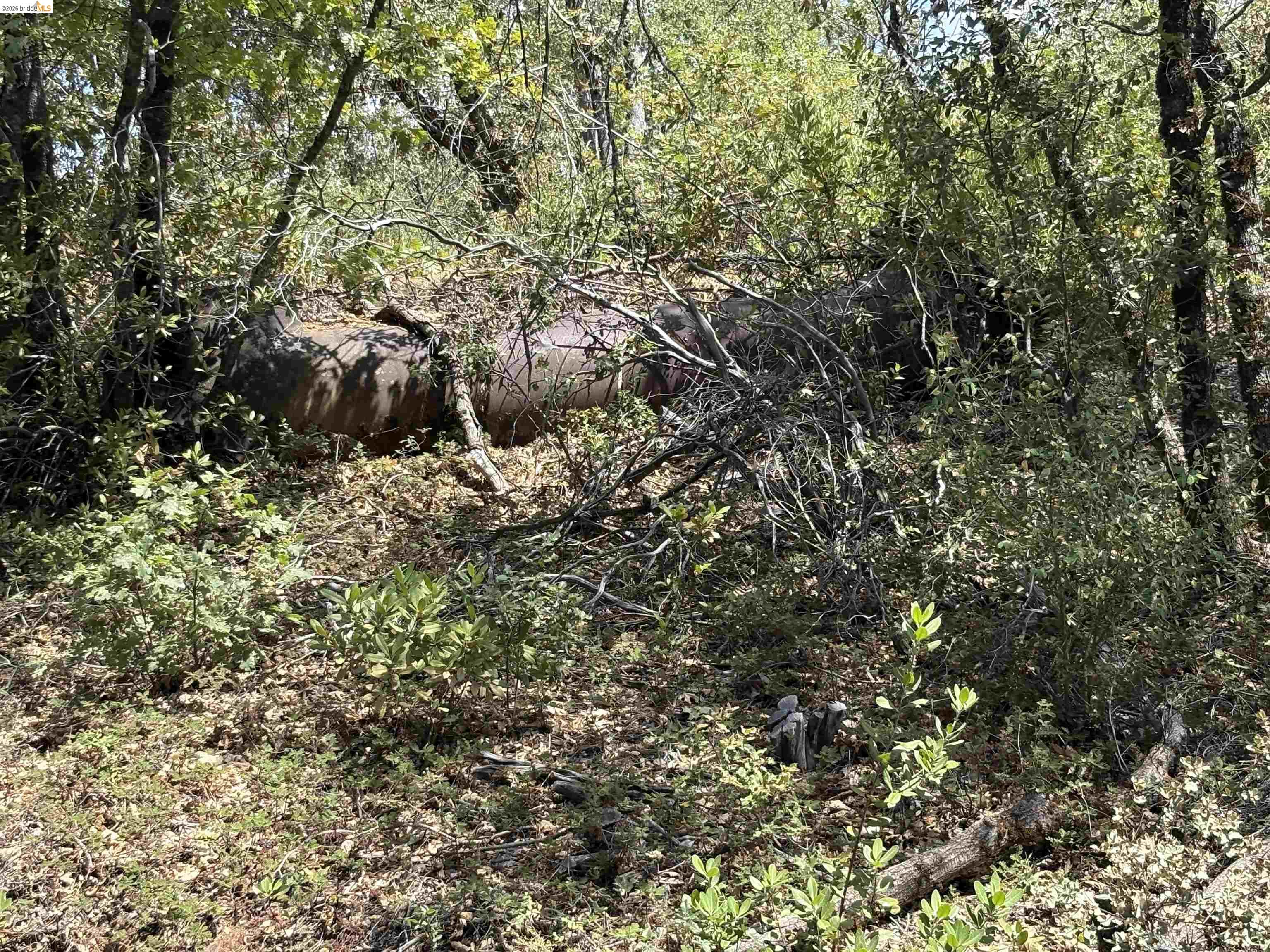 1440 Utica Powerhouse Road Murphys, CA 95247 - Photo 25 of 58 Gallery Image 25