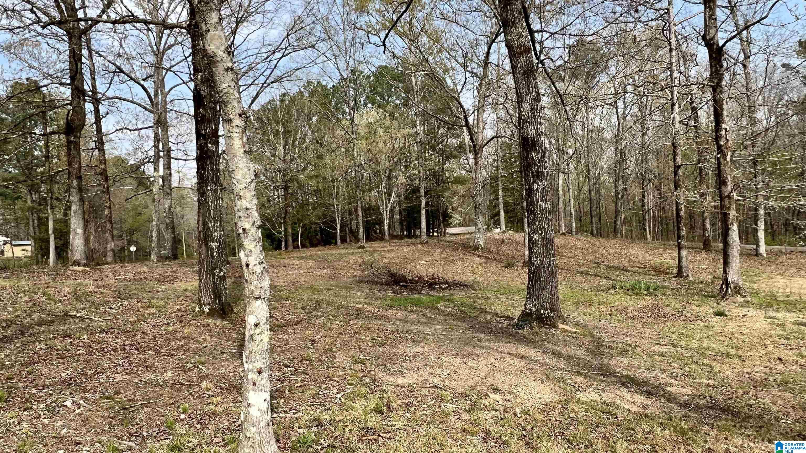 337 Tomahawk Trail Riverside, AL 35135 - Photo 59 of 68