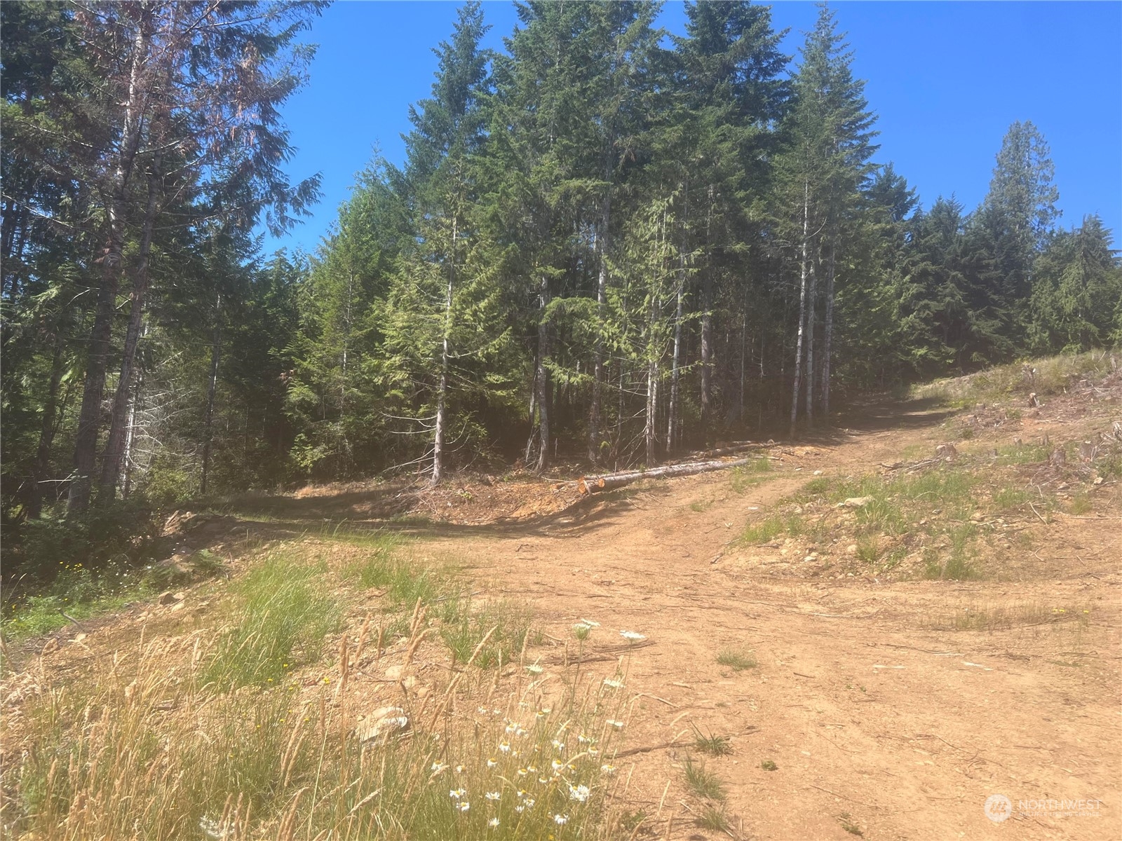 1-xxxx Mt Jupiter Road Brinnon, WA 98320 - Photo 9 of 19 Gallery Image 9