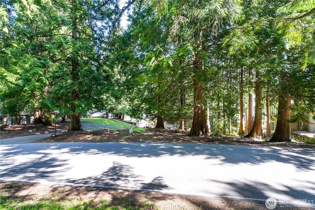 20 North Point Drive Bellingham, WA 98229 - Photo 4 of 16 a view of a yard with a tree