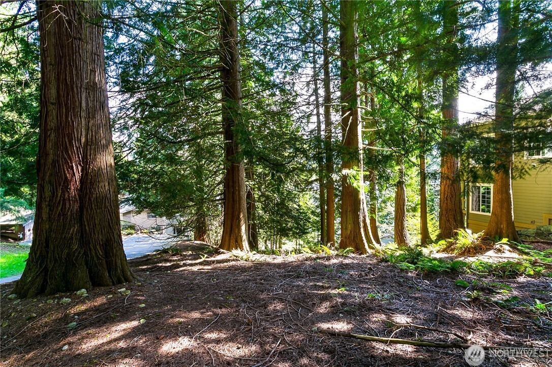 20 North Point Drive Bellingham, WA 98229 - Photo 5 of 16 a view of outdoor space with trees