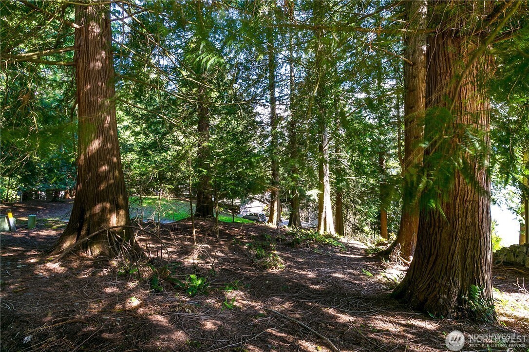 20 North Point Drive Bellingham, WA 98229 - Photo 6 of 16 a view of outdoor space and yard