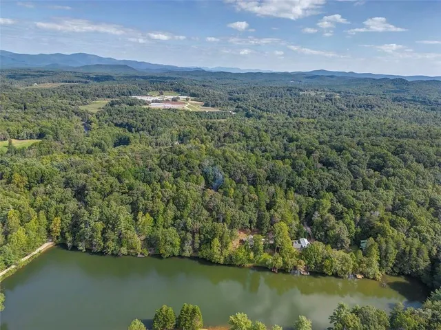 a view of a lake with a mountain in the background