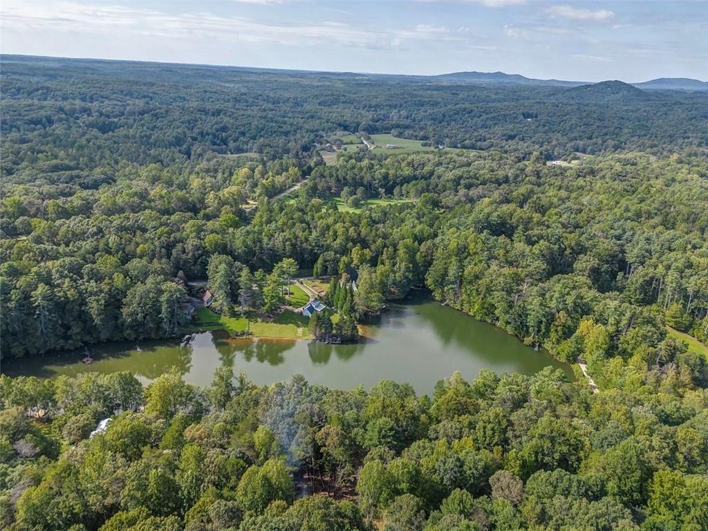 474 White Pine Circle Demorest, GA 30535 - Photo 3 of 10