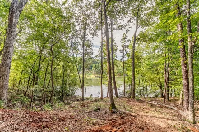 a view of a tree in the backyard of a house