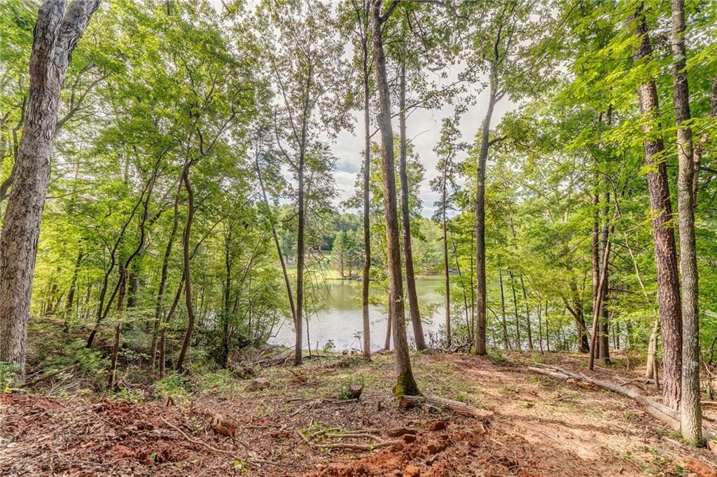 474 White Pine Circle Demorest, GA 30535 - Photo 4 of 10