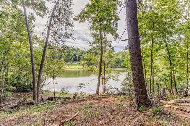 a view of a forest with trees in the background