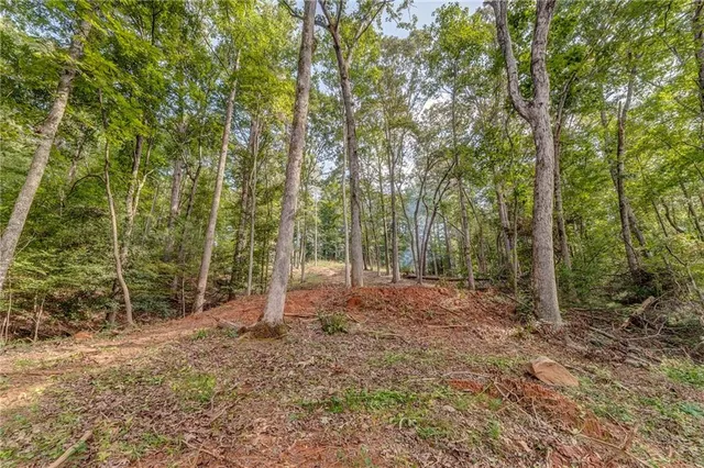 a view of outdoor space with trees