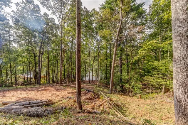 a backyard of a house with lots of trees