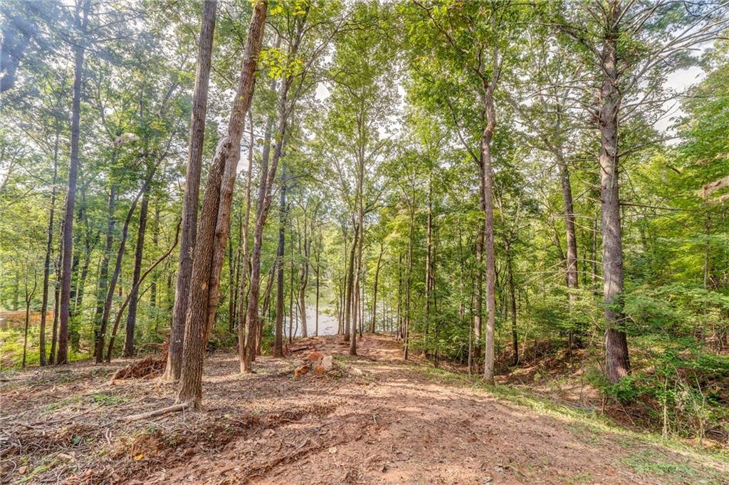 474 White Pine Circle Demorest, GA 30535 - Photo 10 of 10