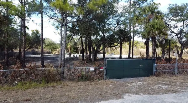 a view of outdoor space and tree