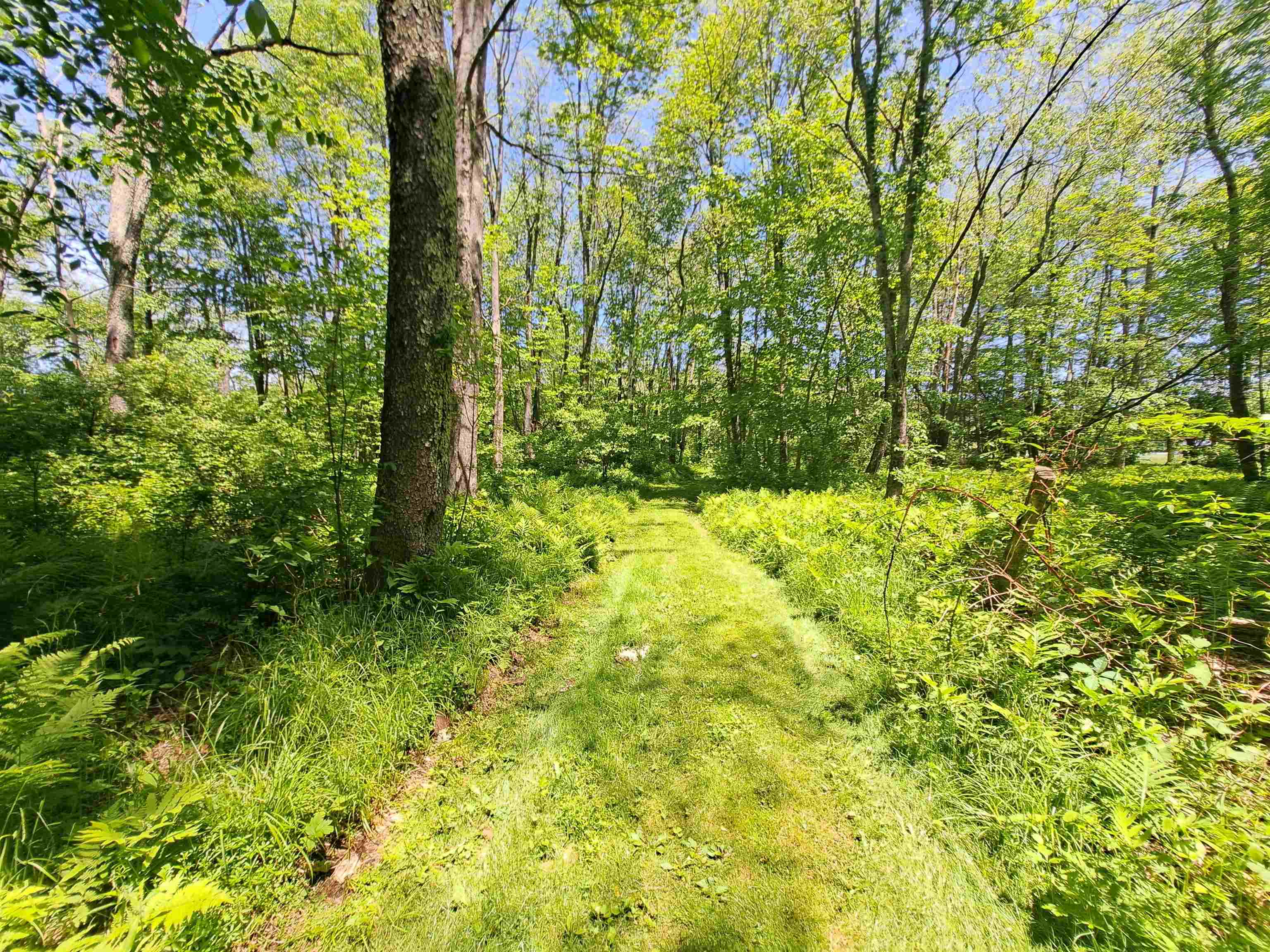 Bumps Intervale Road Campton, NH 03223 - Photo 5 of 14
