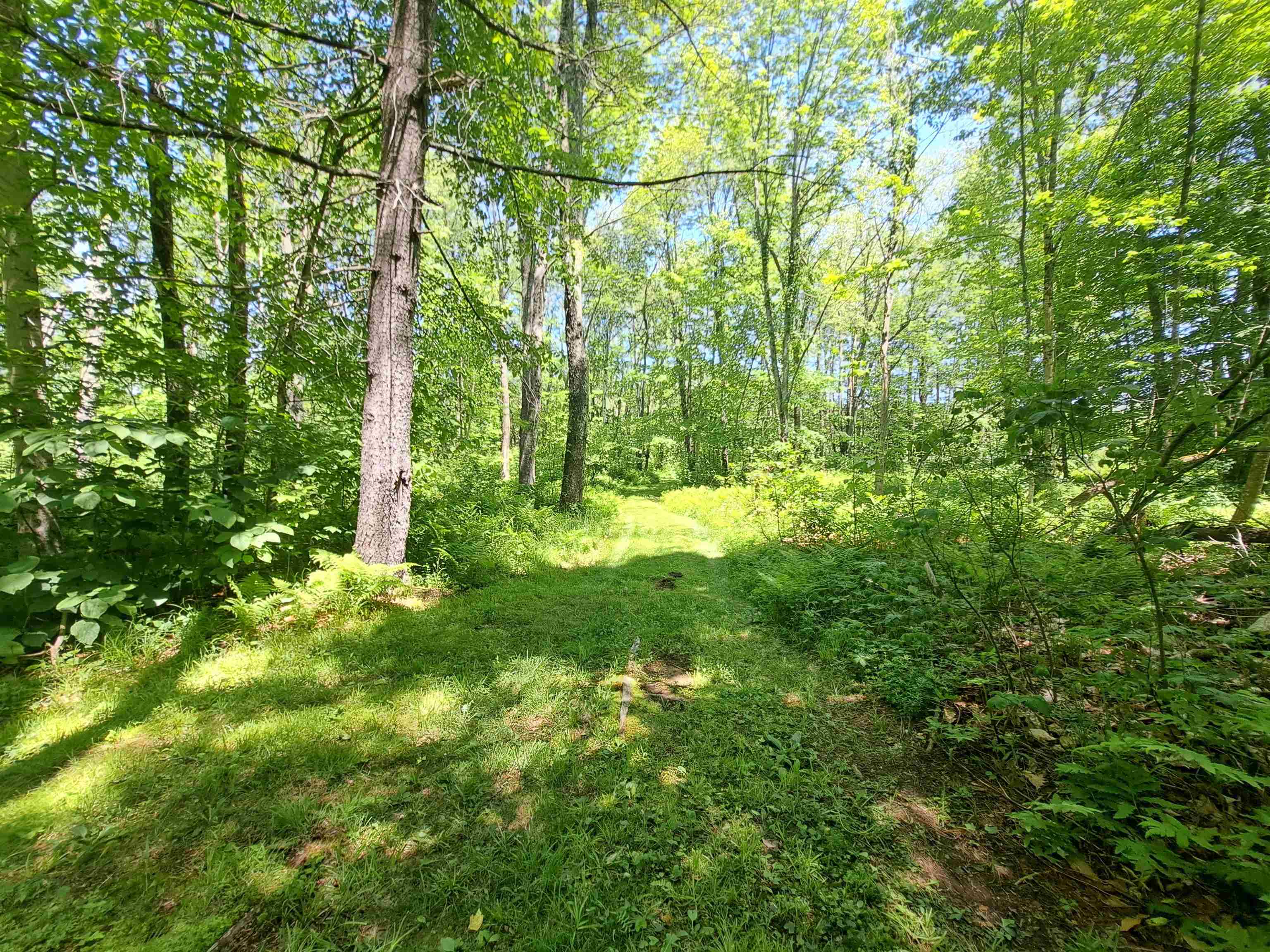 Bumps Intervale Road Campton, NH 03223 - Photo 10 of 14