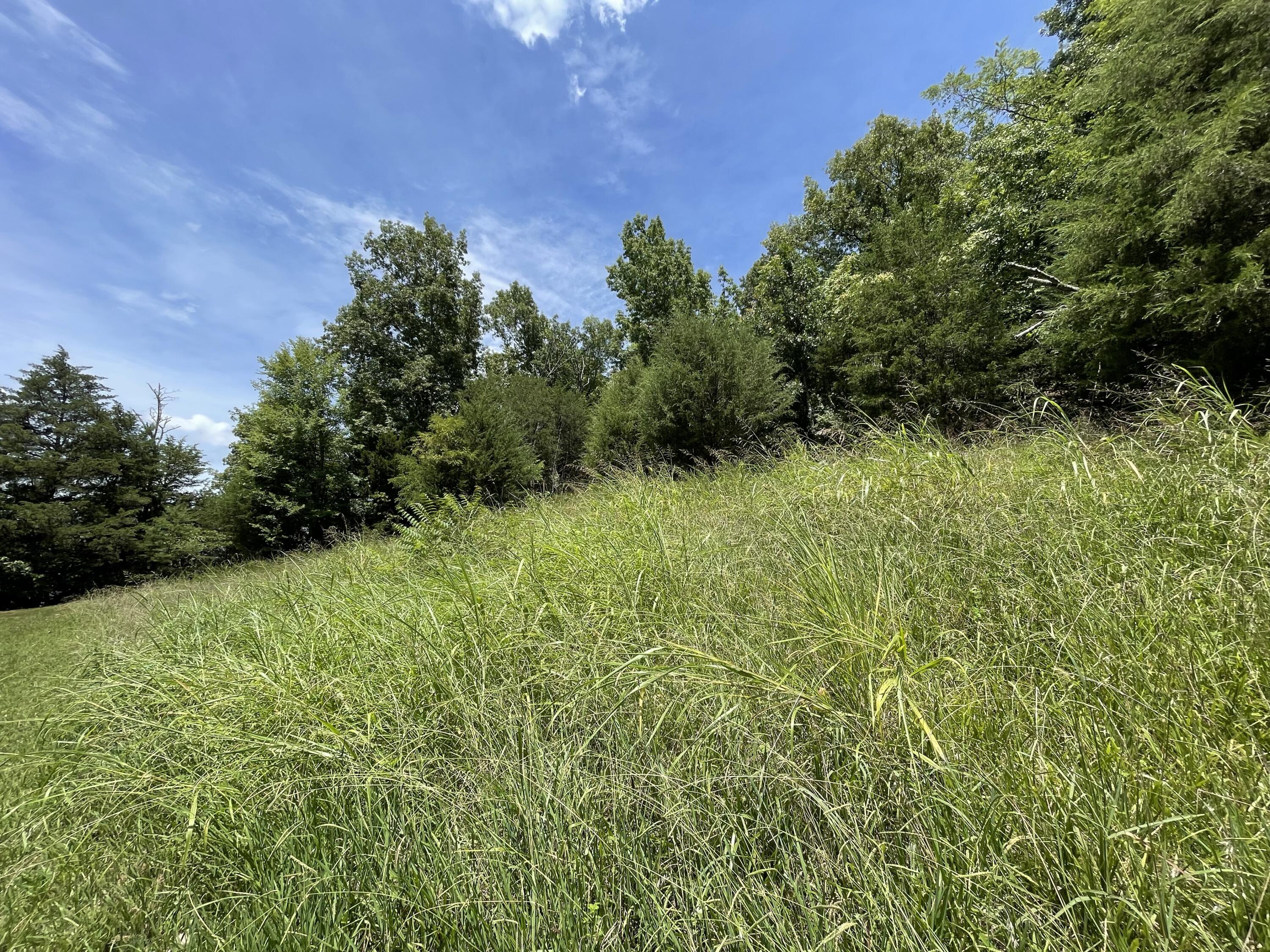 102 Lakeshore Way, Unit 3 Newport, TN 37821 - Photo 2 of 11 IMG_6999