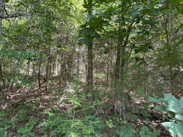 $39,900 | 102 Lakeshore Way, Unit 3, Newport, TN 37821