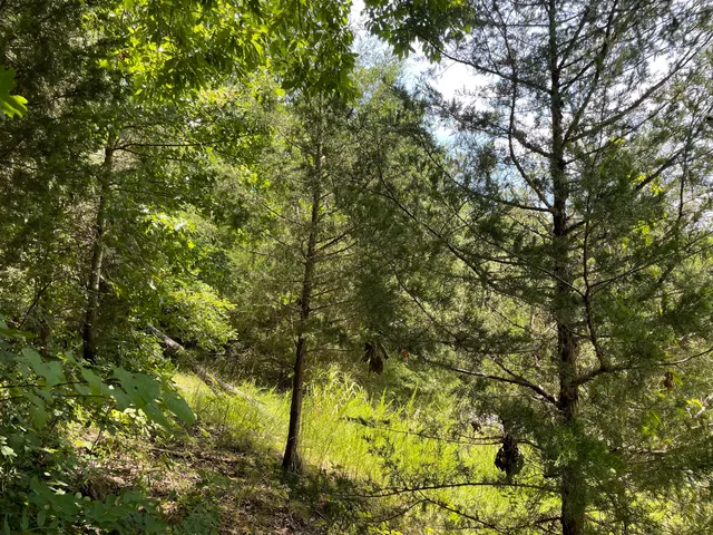 $39,900 | 102 Lakeshore Way, Unit 3, Newport, TN 37821