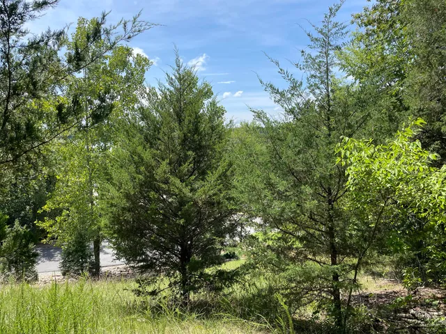 $39,900 | 102 Lakeshore Way, Unit 3, Newport, TN 37821