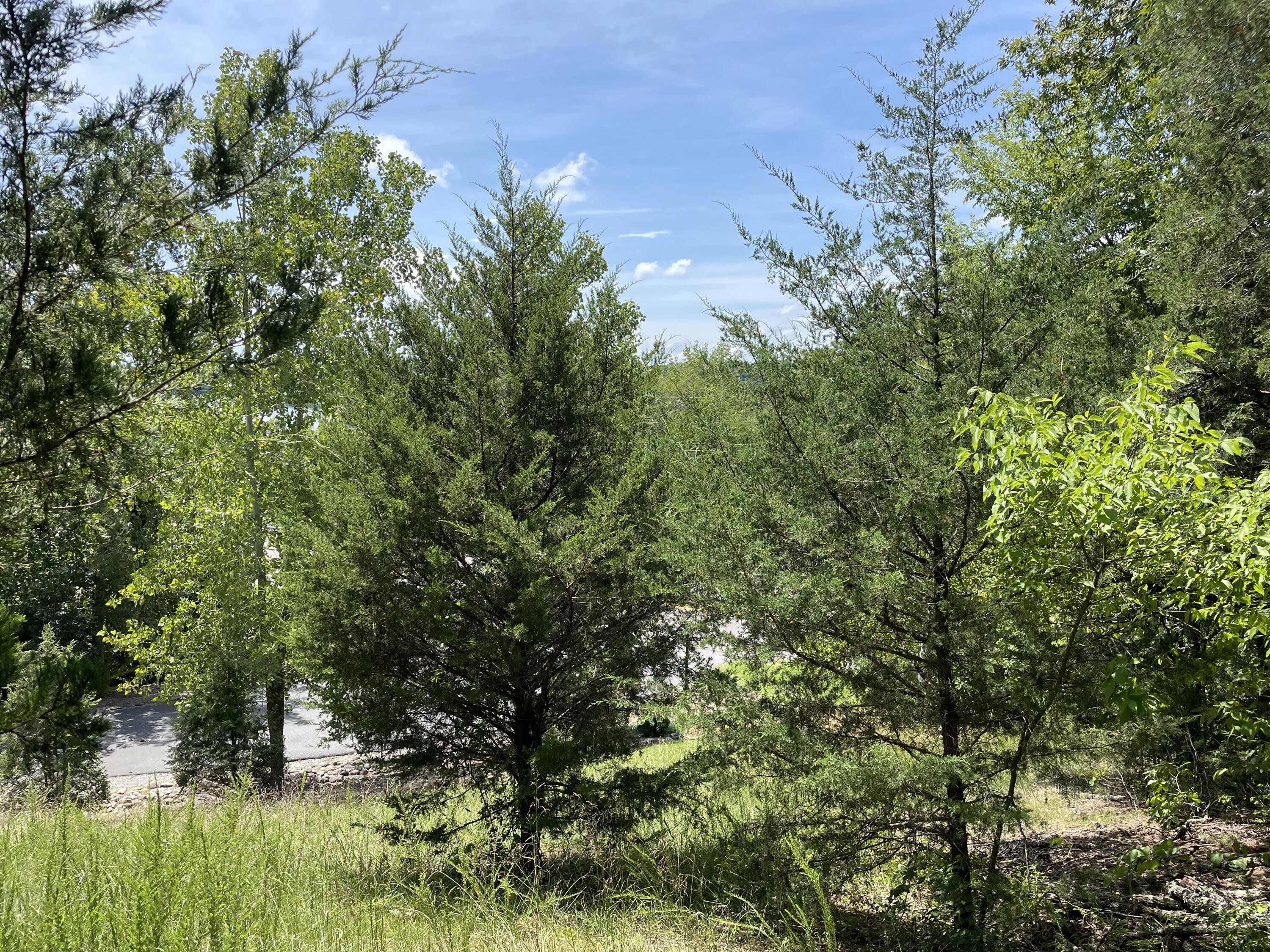 102 Lakeshore Way, Unit 3 Newport, TN 37821 - Photo 8 of 11 IMG_7006