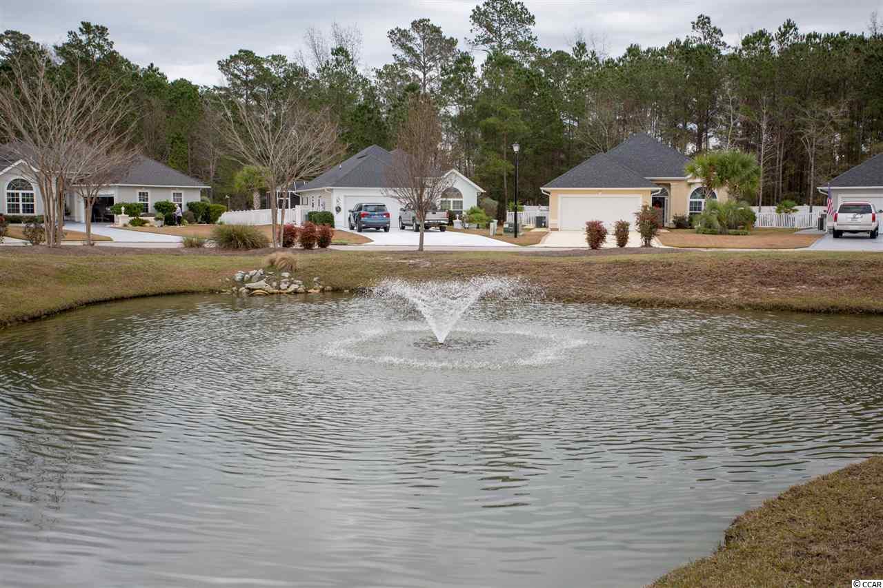 124 Keyes Circle Murrells Inlet, SC 29576 - Photo 40 of 40