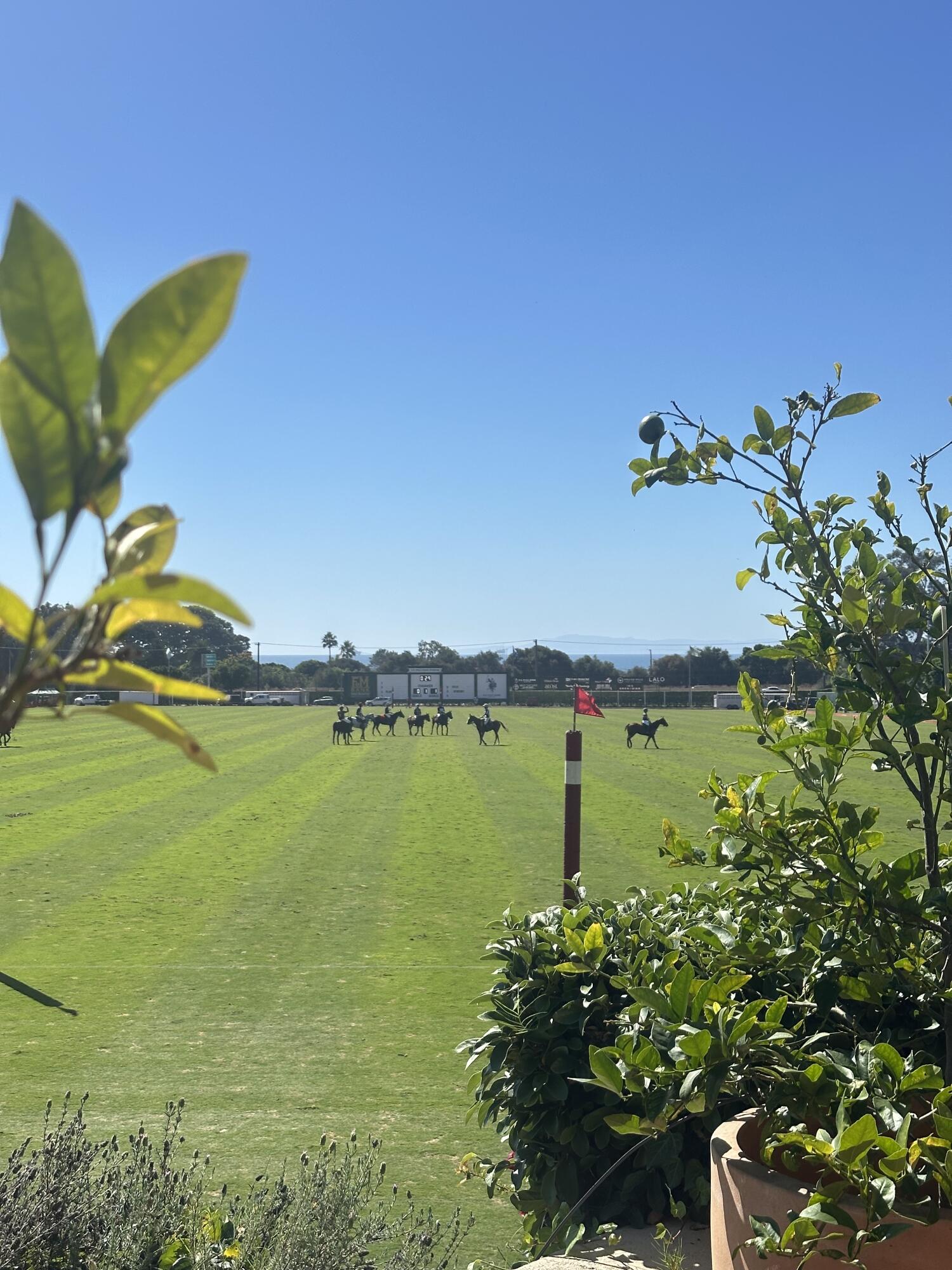 3375 Foothill Road, Unit 911 Carpinteria, CA 93013 - Photo 2 of 40 IMG_9709