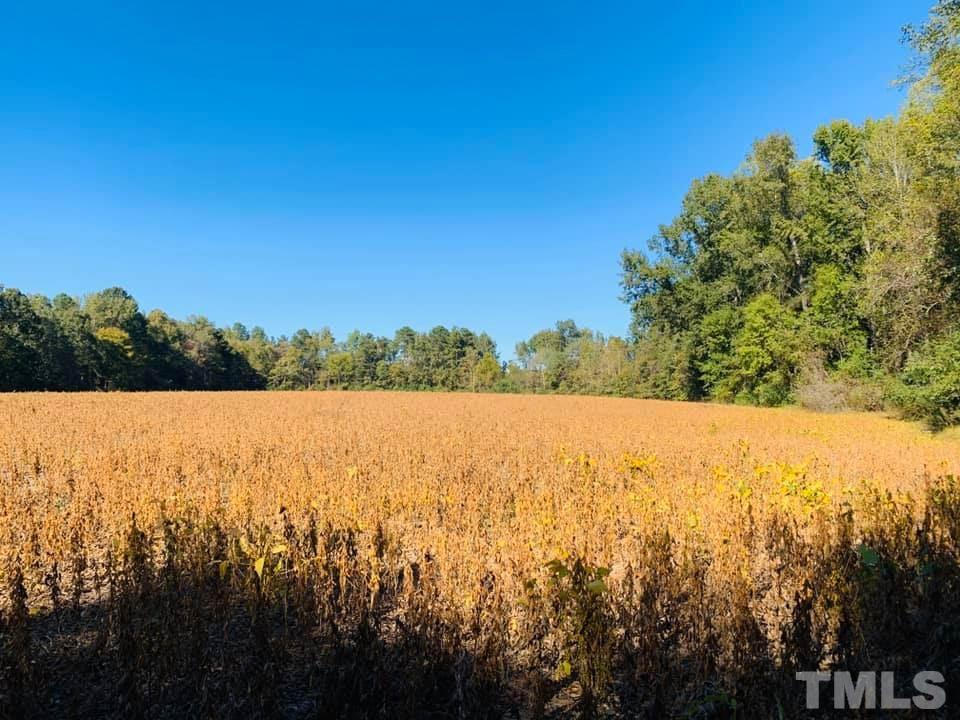 8229 Buffaloe Road Raleigh, NC 27616 - Photo 2 of 4