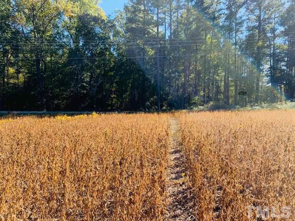 8229 Buffaloe Road Raleigh, NC 27616 - Photo 3 of 4