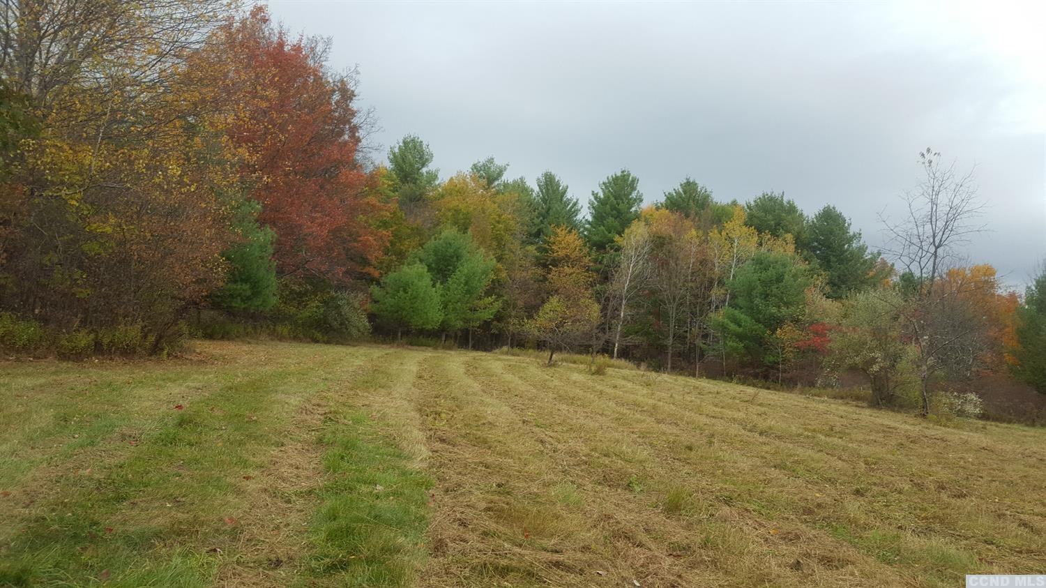 0 Livingston Road Freehold, NY 12431 - Photo 2 of 3 Photo 2