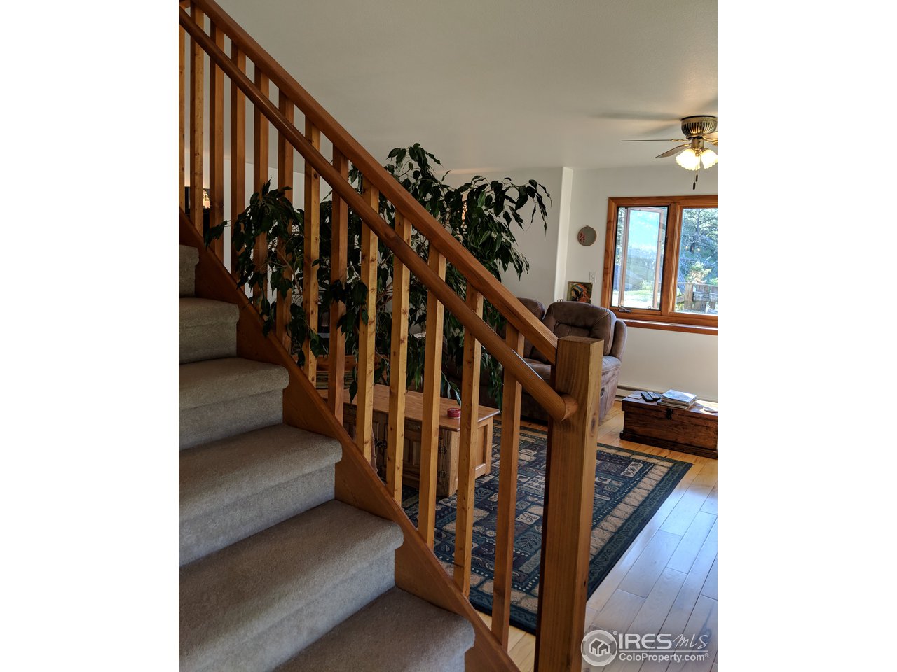 6039 Obenchain Road Laporte, CO 80535 - Photo 12 of 38 Gallery Image 12