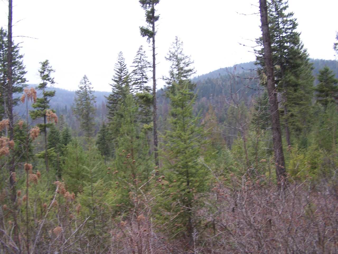 Lot 6 Greenhouse Road Ione, WA 99139 - Photo 11 of 13 Gallery Image 11