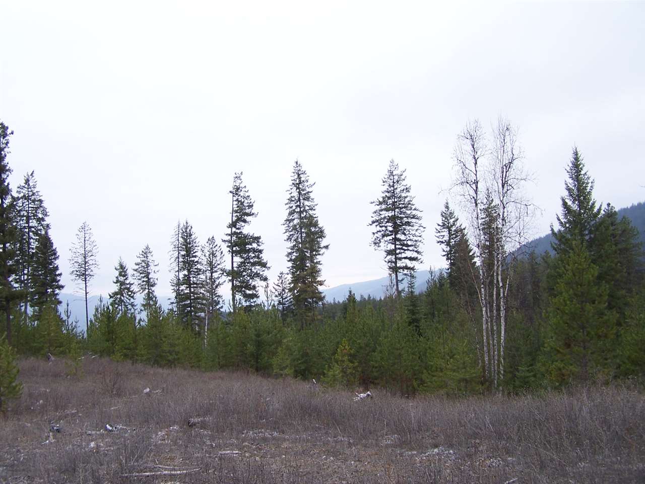 Lot 6 Greenhouse Road Ione, WA 99139 - Photo 5 of 13 Gallery Image 5