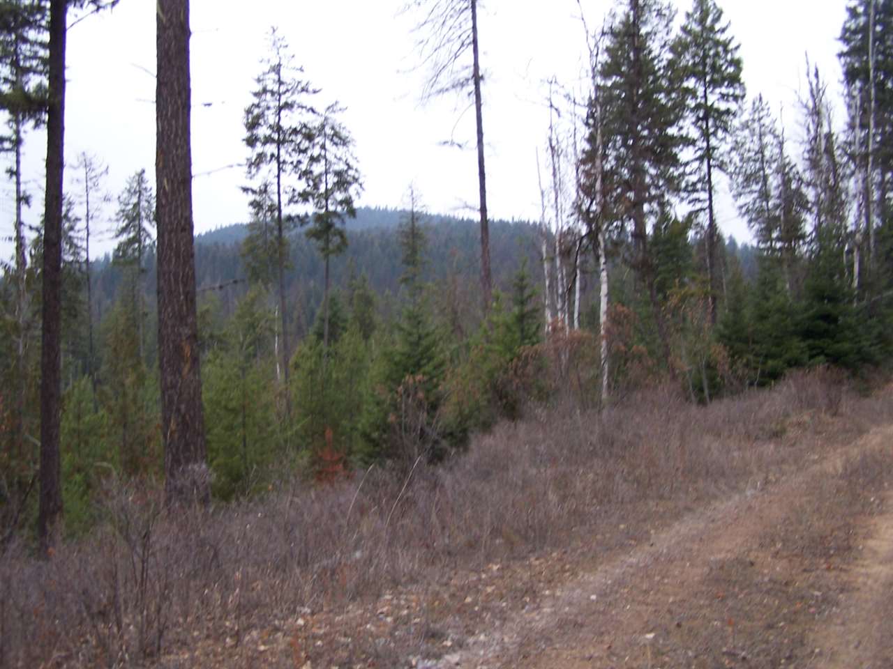 Lot 6 Greenhouse Road Ione, WA 99139 - Photo 9 of 13 Gallery Image 9