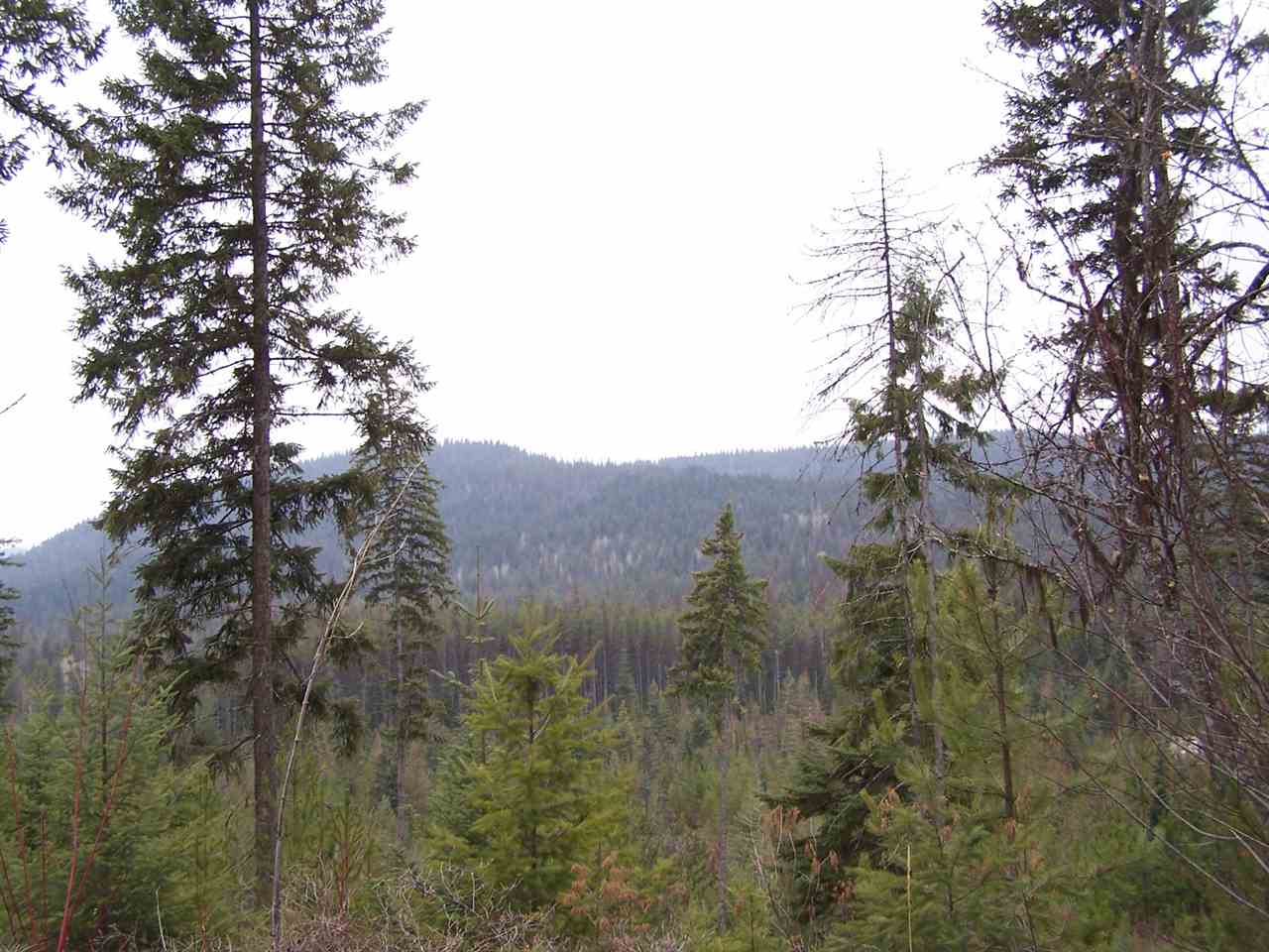 Lot 6 Greenhouse Road Ione, WA 99139 - Photo 10 of 13 Gallery Image 10