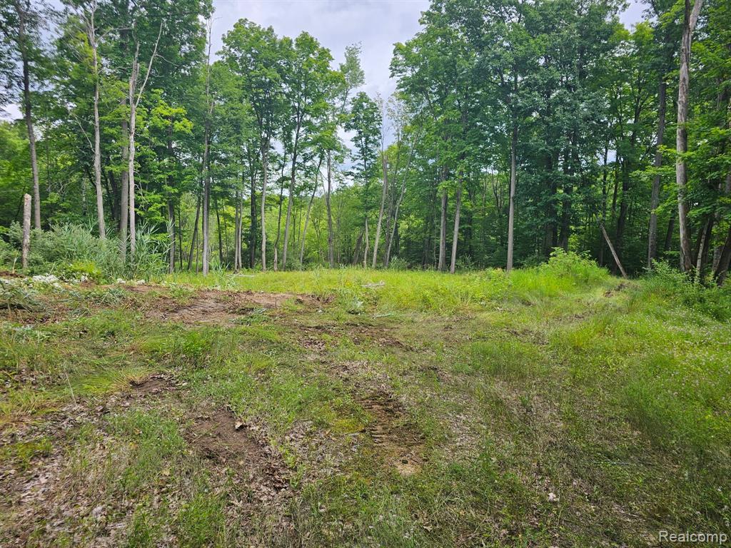 8600 Eagle Road Davisburg, MI 48350 - Photo 2 of 8