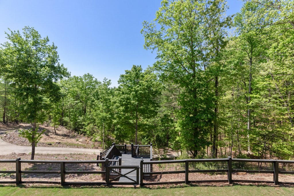 475 Tater Tot Road Jasper, GA 30143 - Photo 27 of 80